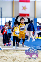 TFCUSA WC indoor Field Events005