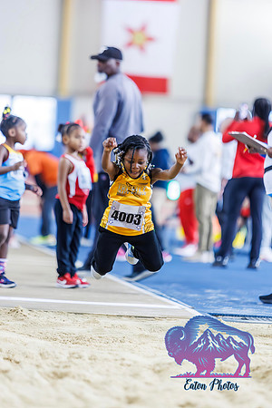 TFCUSA WC indoor Field Events006