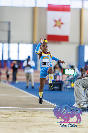 TFCUSA WC indoor Field Events010