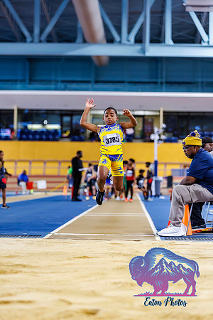 TFCUSA WC indoor Field Events019