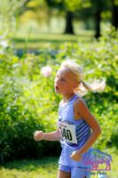AHS Distance-4