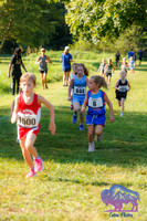 AHS Distance-2
