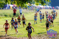 AHS Distance-1