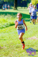 AHS Distance-6