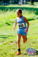AHS Distance-7