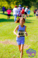 AHS Distance-10