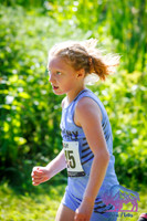 AHS Distance-15