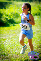 AHS Distance-12