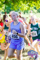 AHS Distance-17