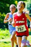 AHS Distance-18