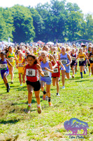 AHS Distance-16