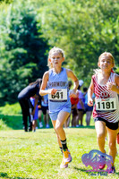 AHS Distance-19