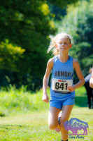 AHS Distance-20