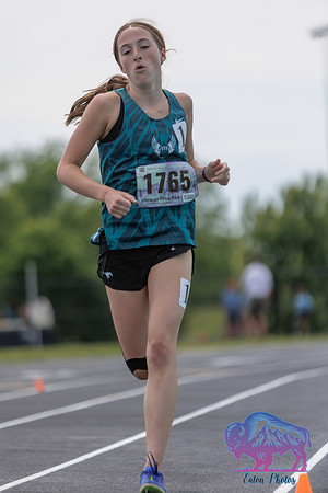 Mustang Stampede-2