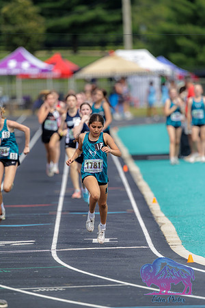 Mustang Stampede-13
