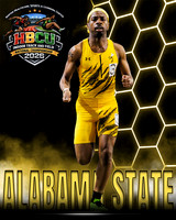 ASU 005
