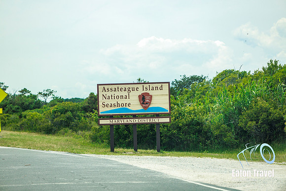 Day 3_ Maryland-14