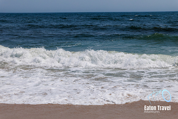 Day9 watermark-07
