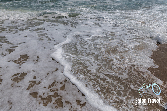 Day9 watermark-09