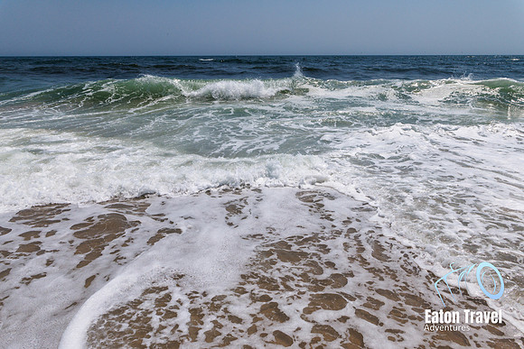 Day9 watermark-10