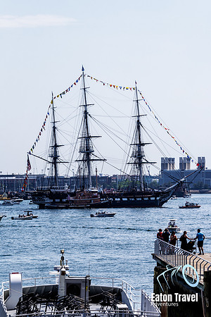 Day11 Boston whale tour-03